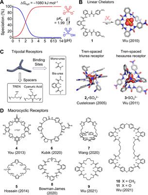 Separation of Sulfate Anion From Aqueous Solution Governed by Recognition Chemistry: A Minireview